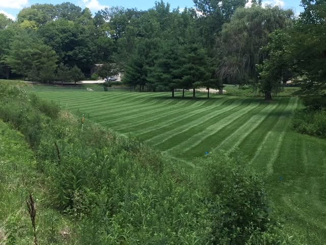 Hillside acreage lawn mowed in even stripes surrounded by trees